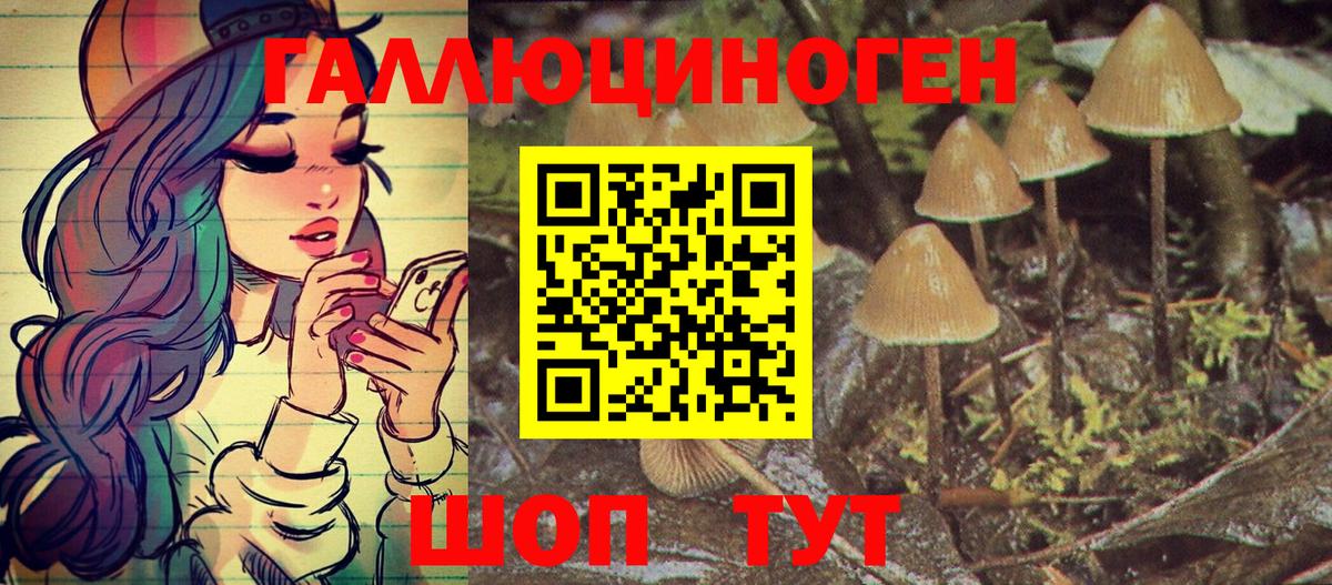 Клинцы  Галлюциногенные грибы Psilocybine cubensis  Вход с VPN  Псилоцибиновые грибы Magic Shrooms 