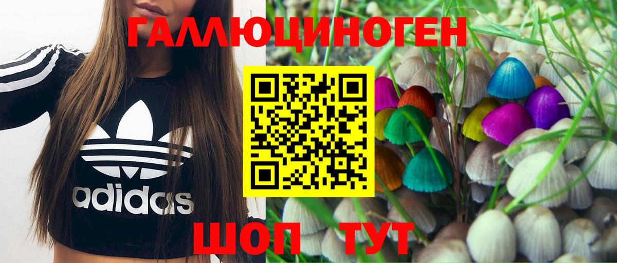 Галлюциногенные грибы Psilocybine cubensis Клинцы